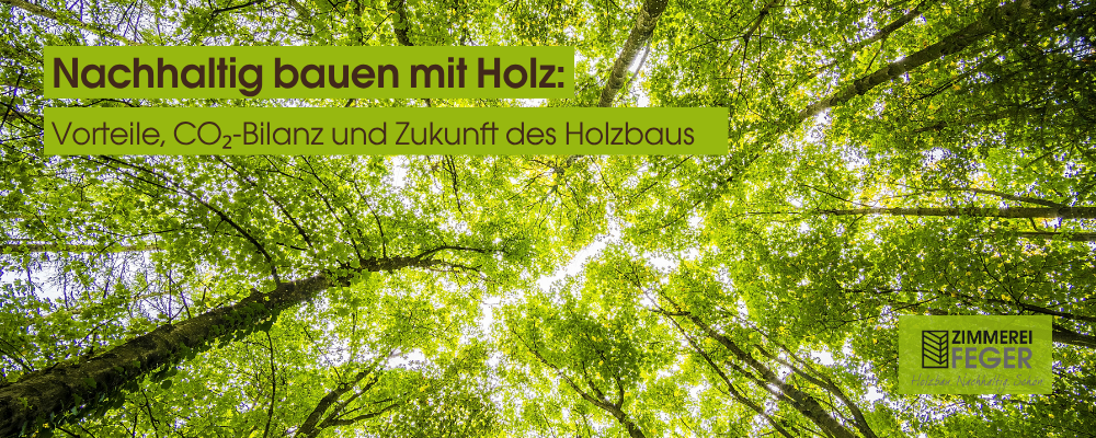 Dieses Bild zeigt den Blick nach oben in eine dichte, grüne Baumkrone. Es steht symbolisch für nachhaltiges Bauen mit Holz, da Bäume als nachwachsender Rohstoff CO₂ speichern und die Grundlage für umweltfreundliche Baustoffe bilden. Die frischen Grüntöne vermitteln Natürlichkeit, Wachstum und Zukunftsfähigkeit – zentrale Werte im modernen Holzbau.