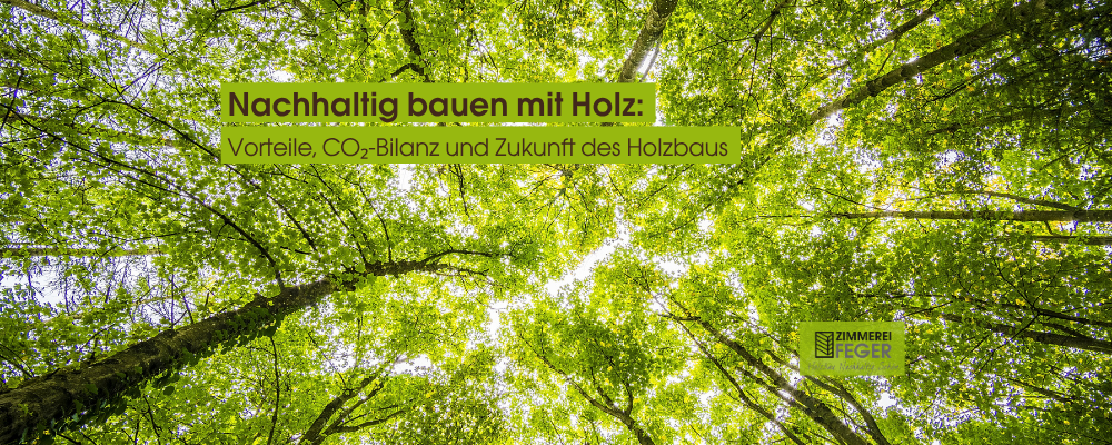 Dieses Bild zeigt den Blick nach oben in eine dichte, grüne Baumkrone. Es steht symbolisch für nachhaltiges Bauen mit Holz, da Bäume als nachwachsender Rohstoff CO₂ speichern und die Grundlage für umweltfreundliche Baustoffe bilden. Die frischen Grüntöne vermitteln Natürlichkeit, Wachstum und Zukunftsfähigkeit – zentrale Werte im modernen Holzbau.